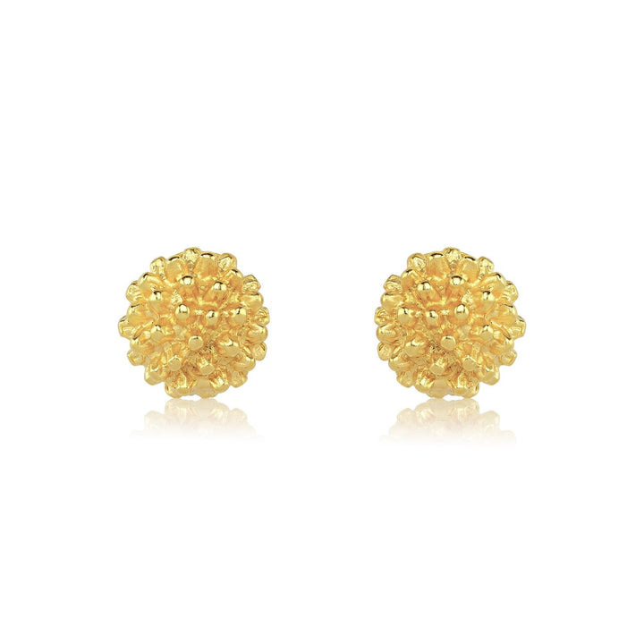 Rond Earrings