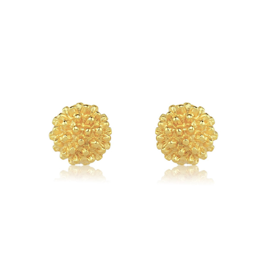 Rond Earrings